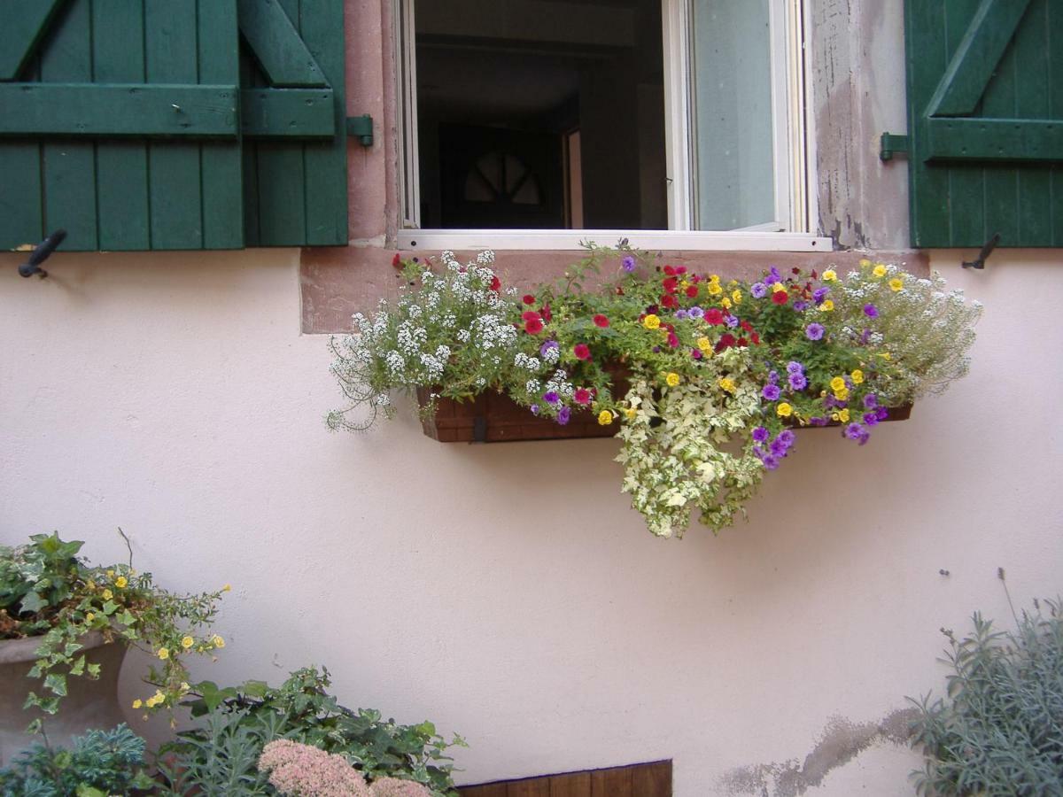 Charmant Petit Appartement En Alsace Bouxwiller  ภายนอก รูปภาพ