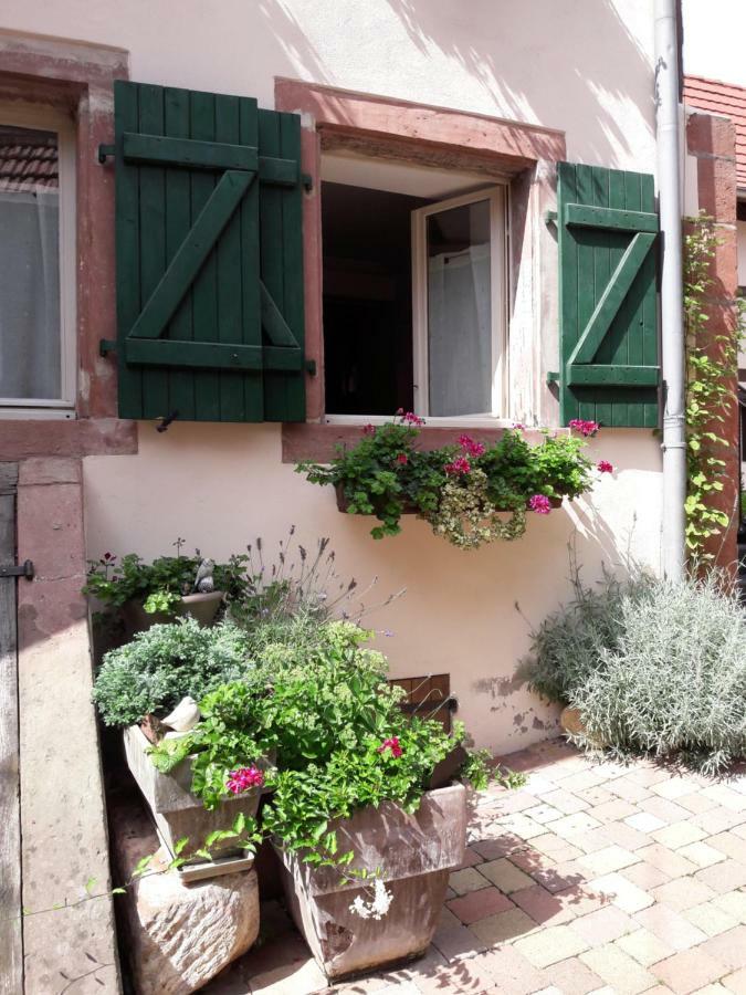 Charmant Petit Appartement En Alsace Bouxwiller  ภายนอก รูปภาพ